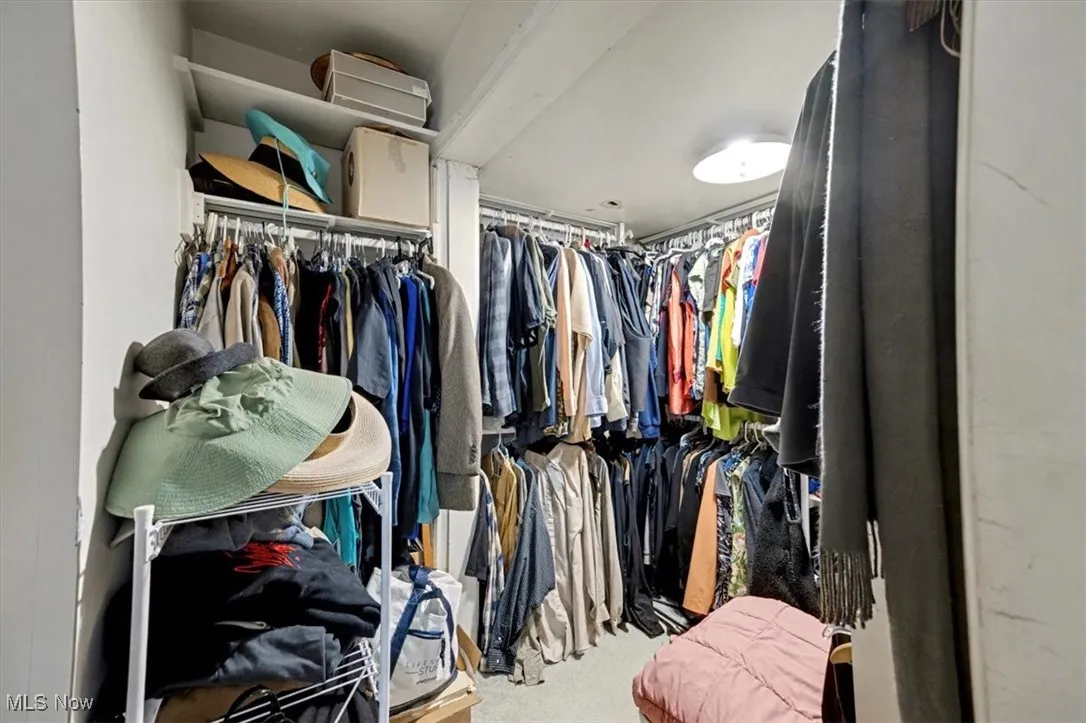 Walk in closet featuring light carpet