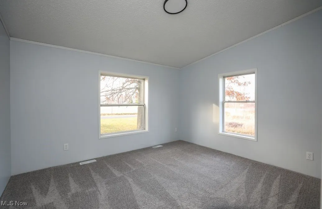 Empty room with a textured ceiling, lofted ceiling, ornamental molding, healthy amount of natural light, and carpet flooring