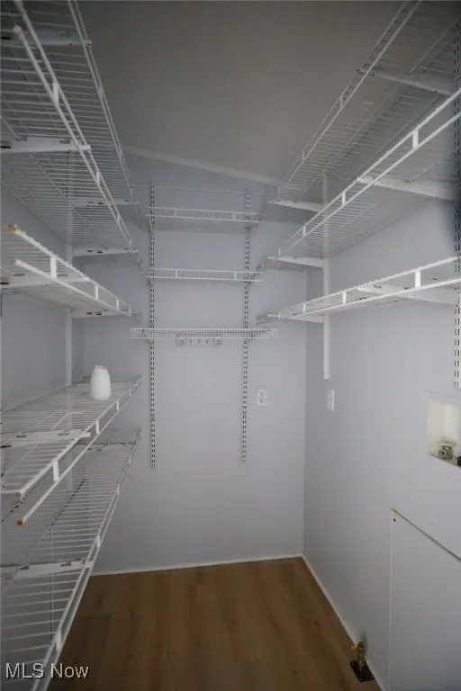 Spacious closet with dark wood-style floors