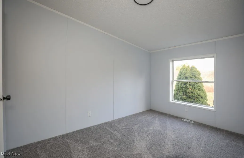 Empty room featuring crown molding, a textured ceiling, carpet, and a decorative wall