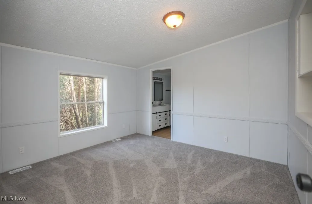 Carpeted spare room with a textured ceiling, a decorative wall, ornamental molding, and lofted ceiling