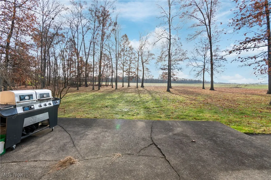 View of patio with grilling area