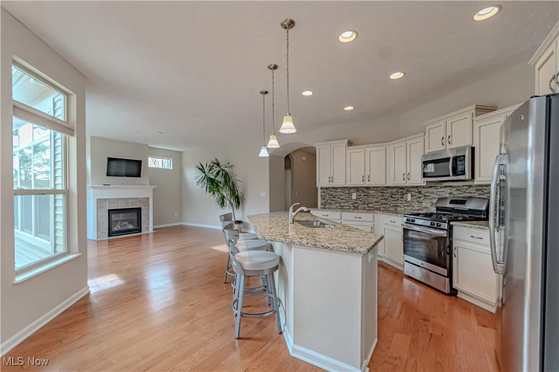 1493 Newman Drive, Brunswick Hills, Ohio 44212,MLS Now Listing ID