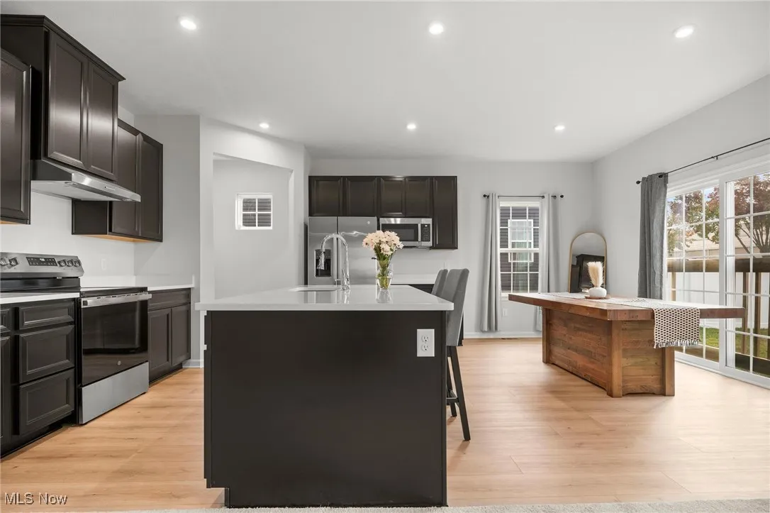 Kitchen with an island with sink, stainless steel appliances, light wood-type flooring, recessed lighting, and under cabinet range hood