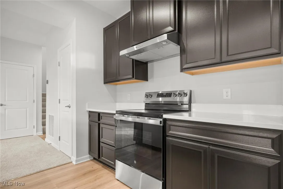 Kitchen with stainless steel electric range, under cabinet range hood, light wood-type flooring, and dark brown cabinetry