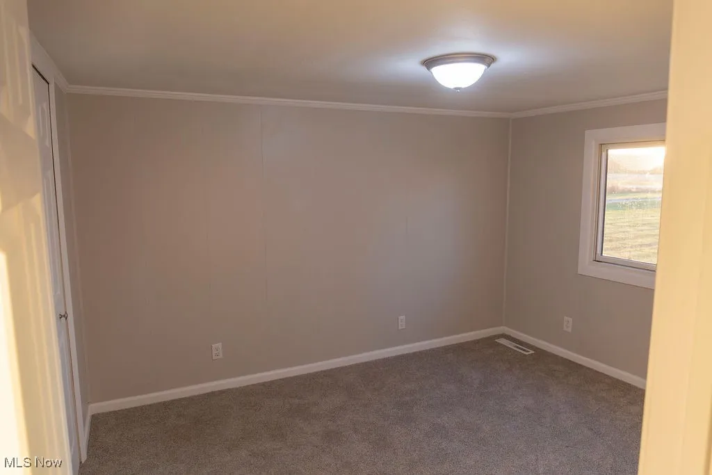 Carpeted empty room with crown molding