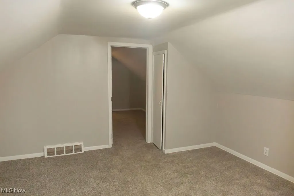 Bonus room featuring vaulted ceiling and light carpet