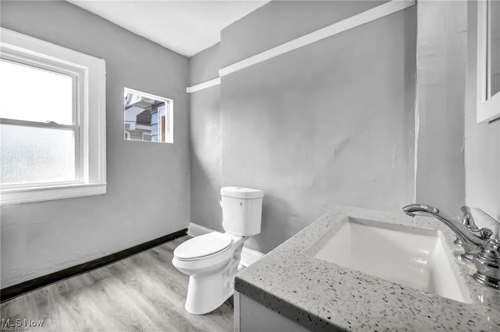 Bathroom featuring vanity, toilet, and hardwood / wood-style floors