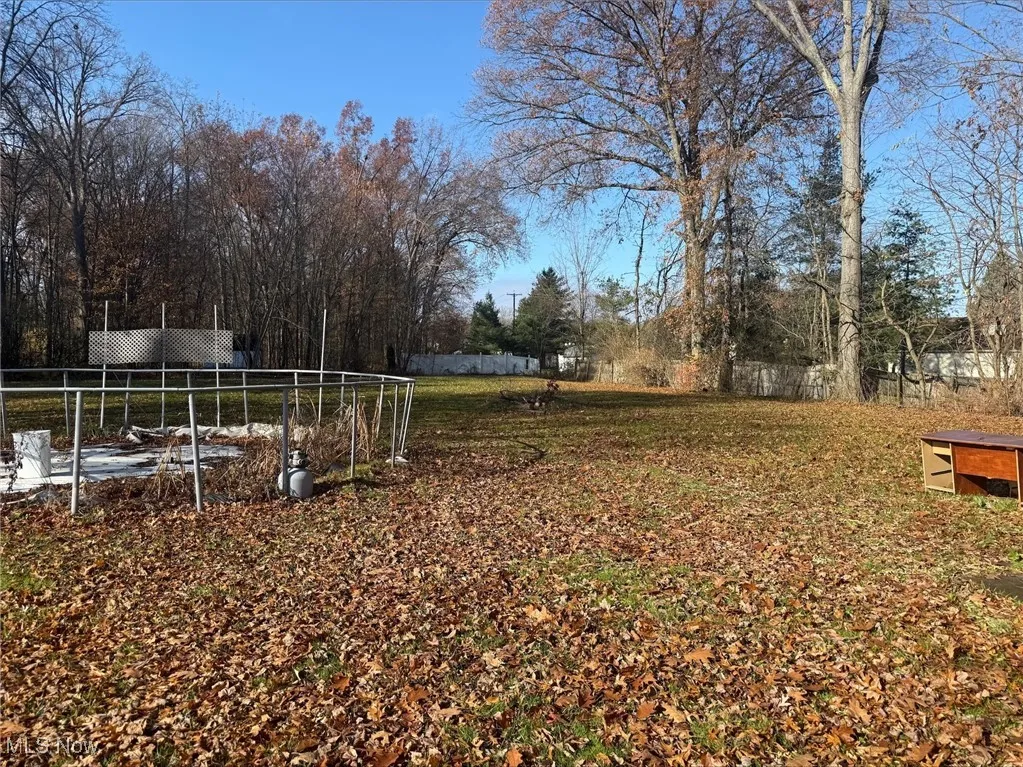 View of yard with view of scattered trees