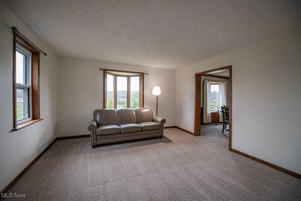 8811 Bayard Road, Minerva, Ohio 44657,MLS Now Listing ID