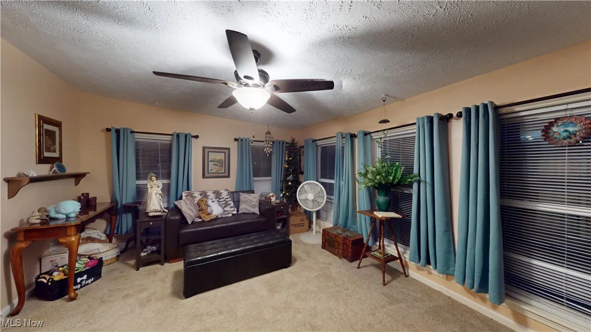 WINDOWS, WINDOWS, WINDOWS