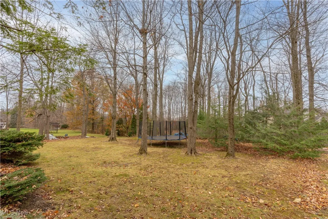 View of grassy yard with a trampoline