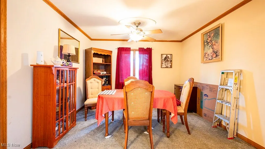 Carpeted dining room featuring crown molding and ceiling fan