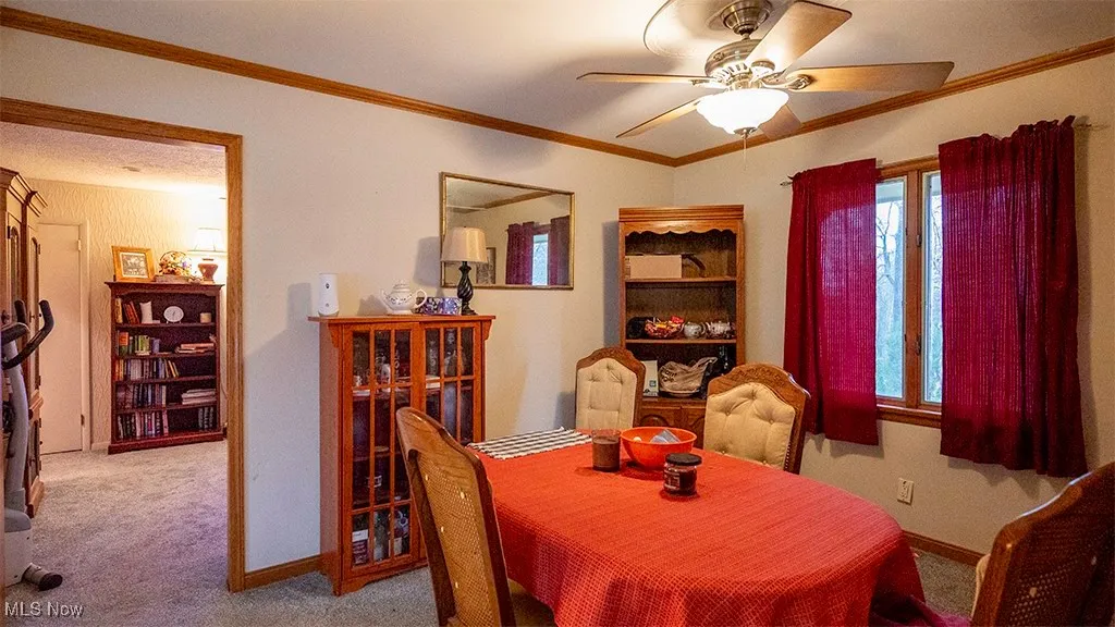 Carpeted dining area featuring ornamental molding and a ceiling fan