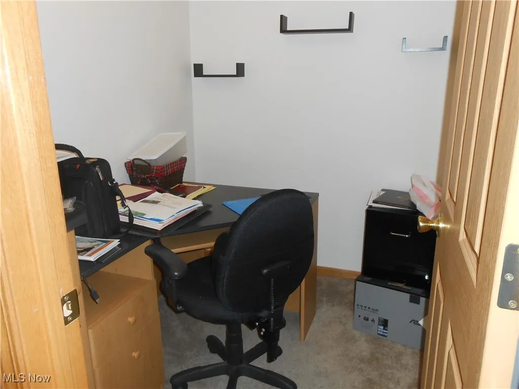 Office featuring light carpet and​​‌​​​​‌​​‌‌​‌‌​​​‌‌​‌​‌​‌​​​‌​​ baseboards