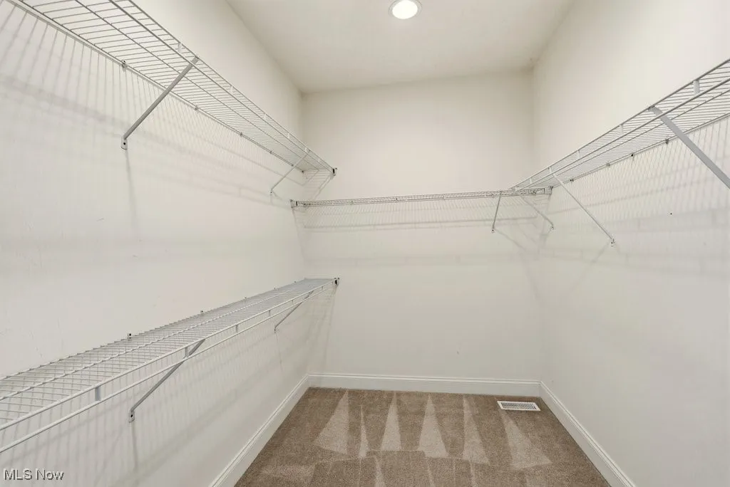 Walk in closet featuring light carpet