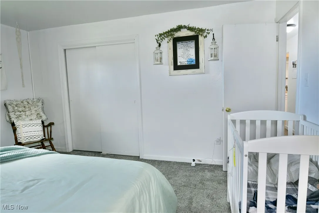 8797 Delin Thomas Road, Kinsman, Ohio 44428,MLS Now Listing ID