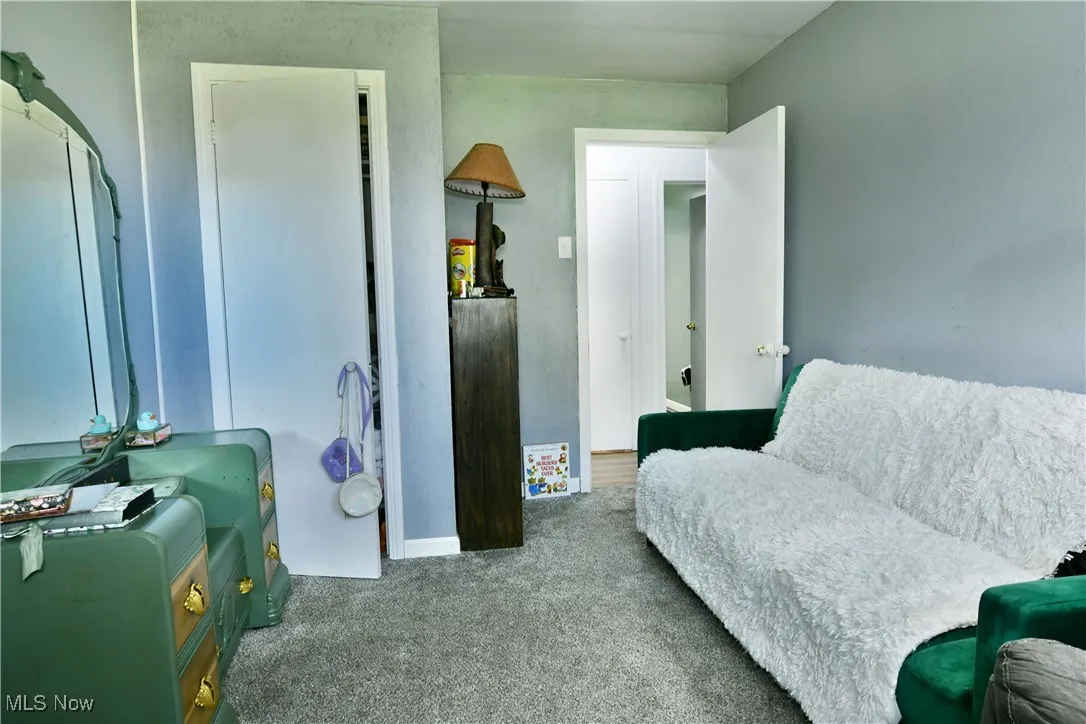 8797 Delin Thomas Road, Kinsman, Ohio 44428,MLS Now Listing ID