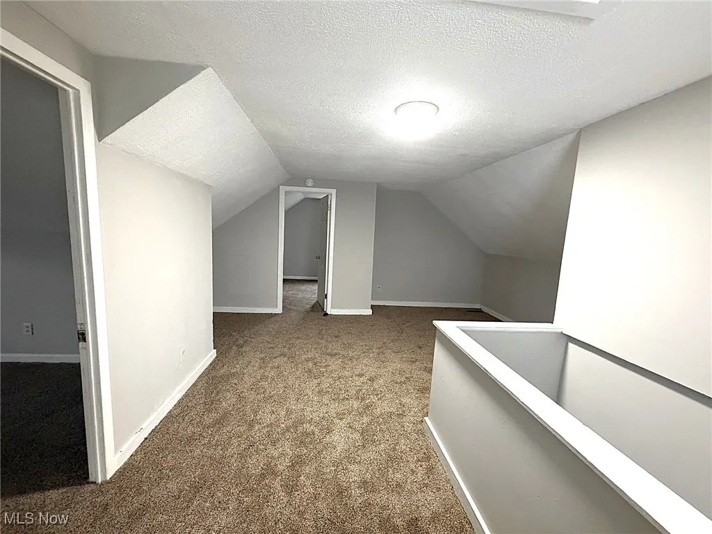 Additional living space with a textured ceiling, carpet flooring, and lofted ceiling