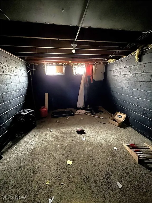 Basement featuring electric panel