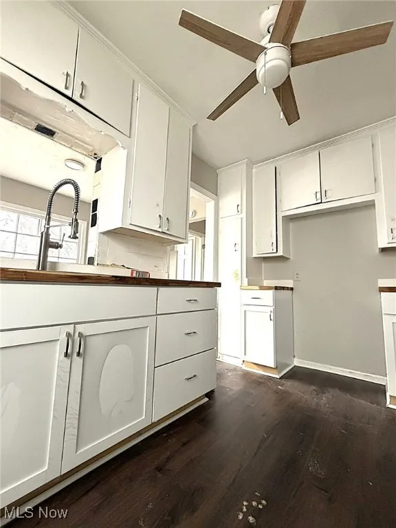 Kitchen with white cabinetry, dark wood-style floors, and a ceiling fan