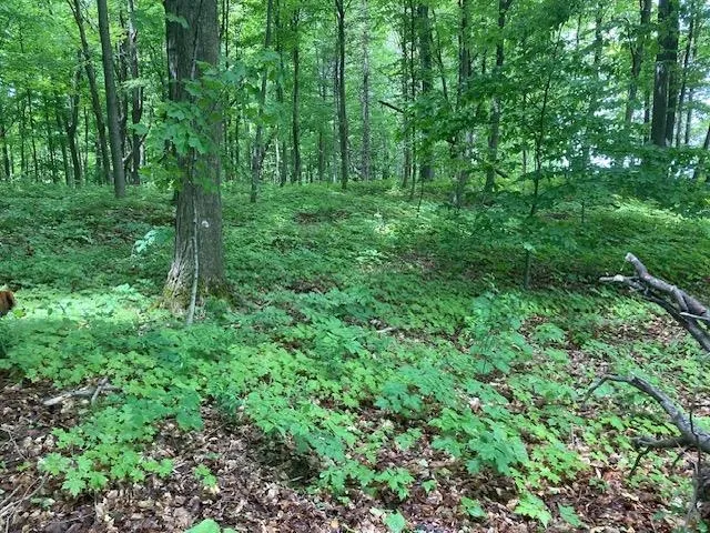 3125 Butler Island East, North Hero, VT 05474, ,Land,For Sale,Butler Island East,5046086