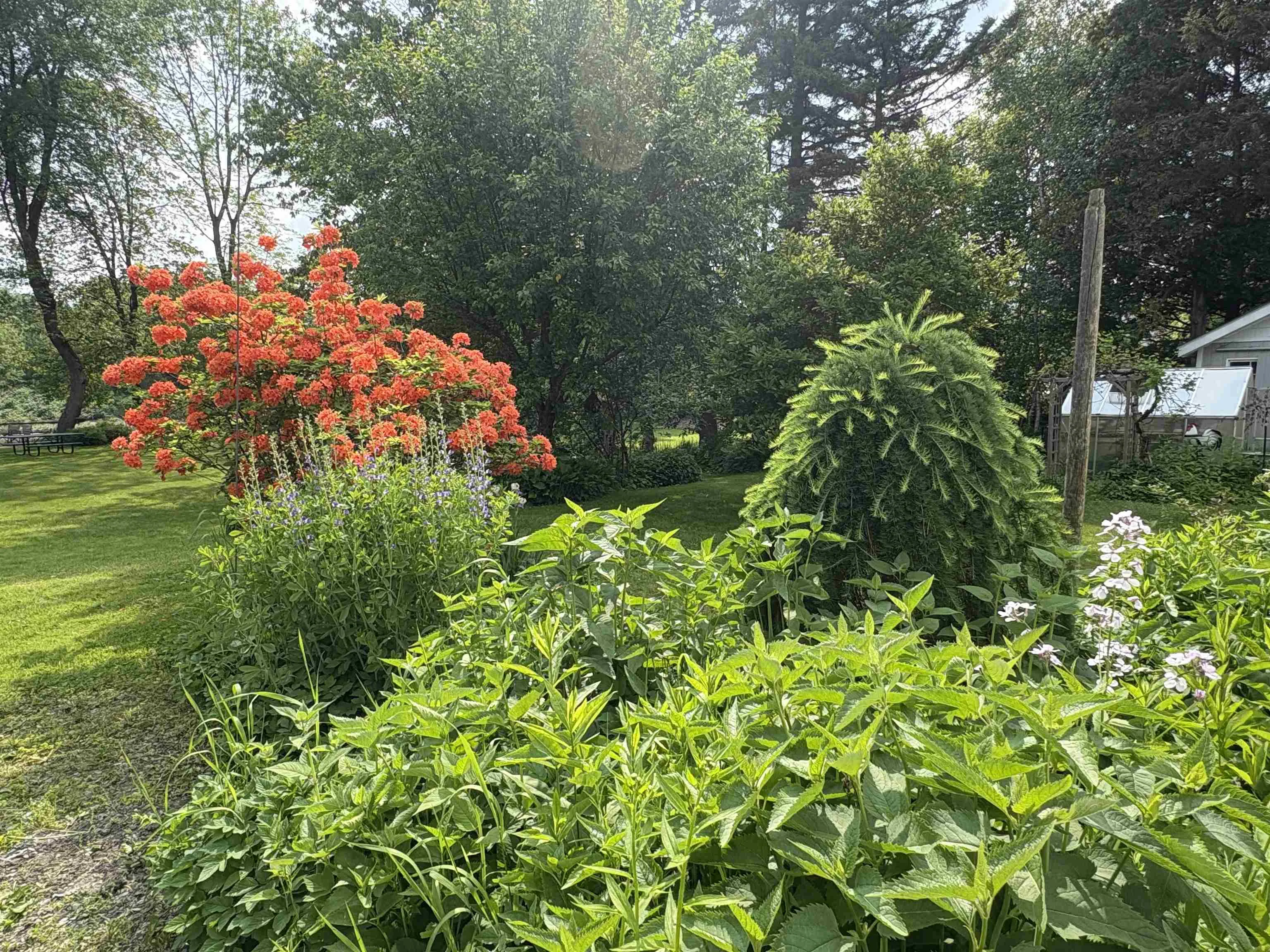 151 South Main Street, Waterbury, VT 05676, 2 Bedrooms Bedrooms, ,2 BathroomsBathrooms,Residential,For Sale,South Main,5046392