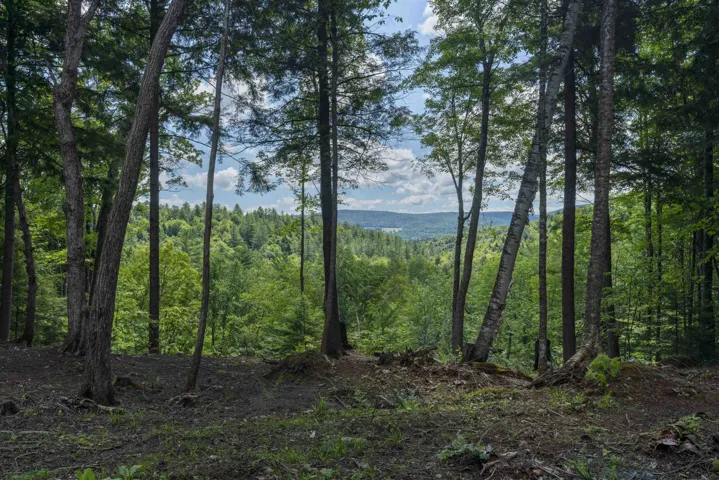 Tbd Arbor Lane #12, Duxbury, VT 05660, ,Land,For Sale,Arbor,5053398