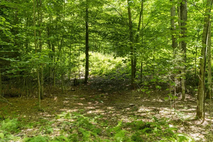 Tbd Taylor Road #9, Duxbury, VT 05660, ,Land,For Sale,Taylor,5053402