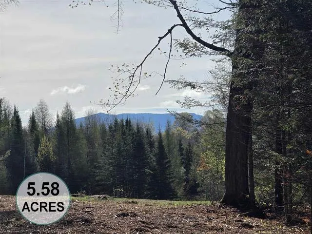 thumbnail 6dbc36380ee2840ab065be4b1b0d17ce