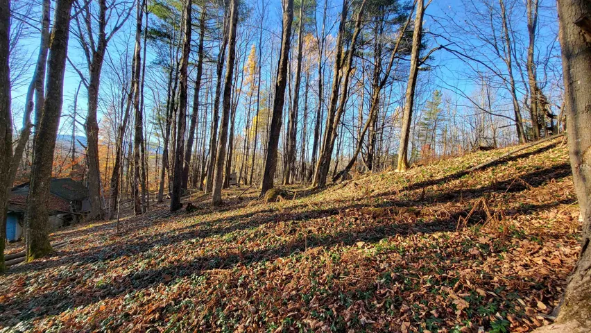 512 Woodbury Mountain Road, Calais - Coldwell Banker Hickok & Boardman