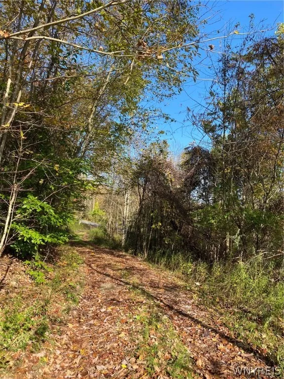 V/l Hillcroft Drive, Boston, New York 14025, Boston, New York 14025, ,Land,For Sale,V/l Hillcroft Drive, Boston, New York 14025,0,B1373303