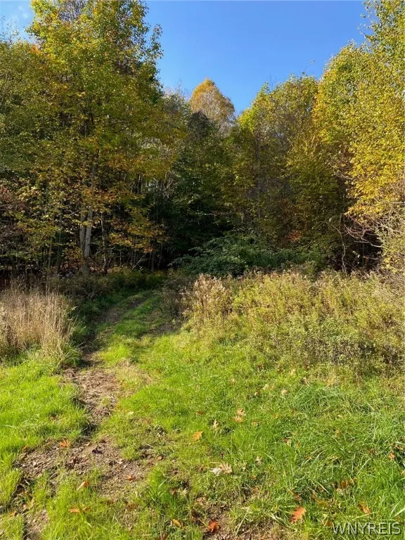 V/l Hillcroft Drive, Boston, New York 14025, Boston, New York 14025, ,Land,For Sale,V/l Hillcroft Drive, Boston, New York 14025,0,B1373303