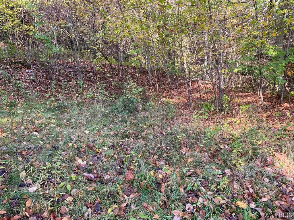 V/l Hillcroft Drive, Boston, New York 14025, Boston, New York 14025, ,Land,For Sale,V/l Hillcroft Drive, Boston, New York 14025,0,B1373303