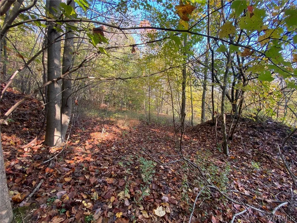 V/l Hillcroft Drive, Boston, New York 14025, Boston, New York 14025, ,Land,For Sale,V/l Hillcroft Drive, Boston, New York 14025,0,B1373303