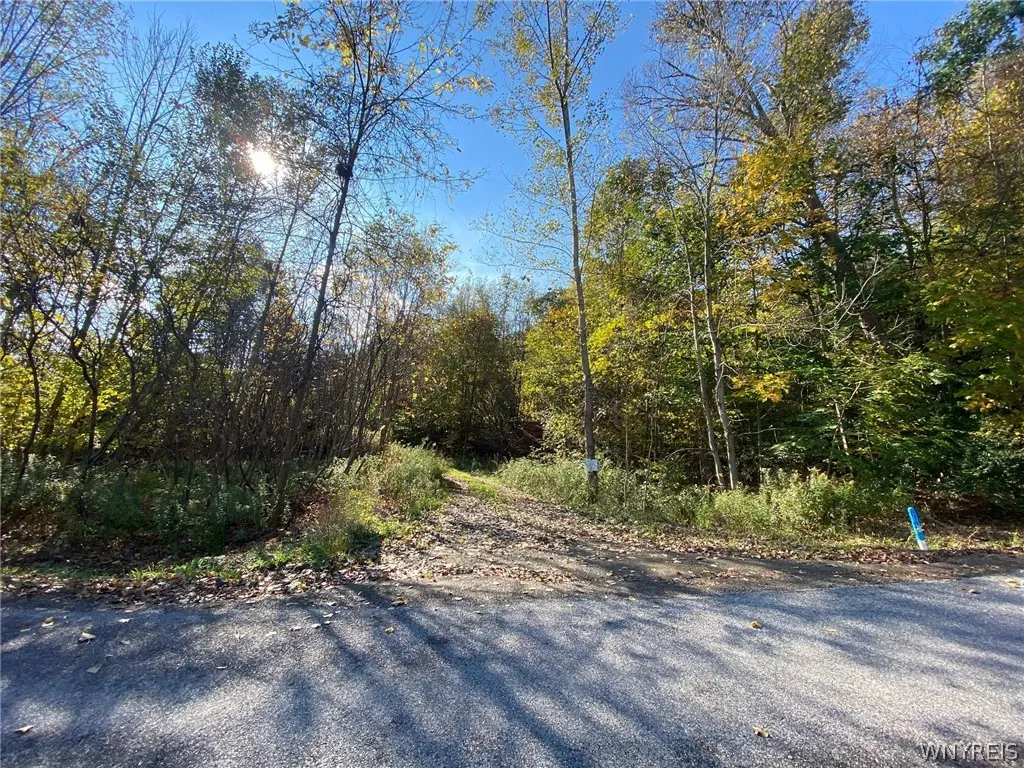 V/l Hillcroft Drive, Boston, New York 14025, Boston, New York 14025, ,Land,For Sale,V/l Hillcroft Drive, Boston, New York 14025,0,B1373303