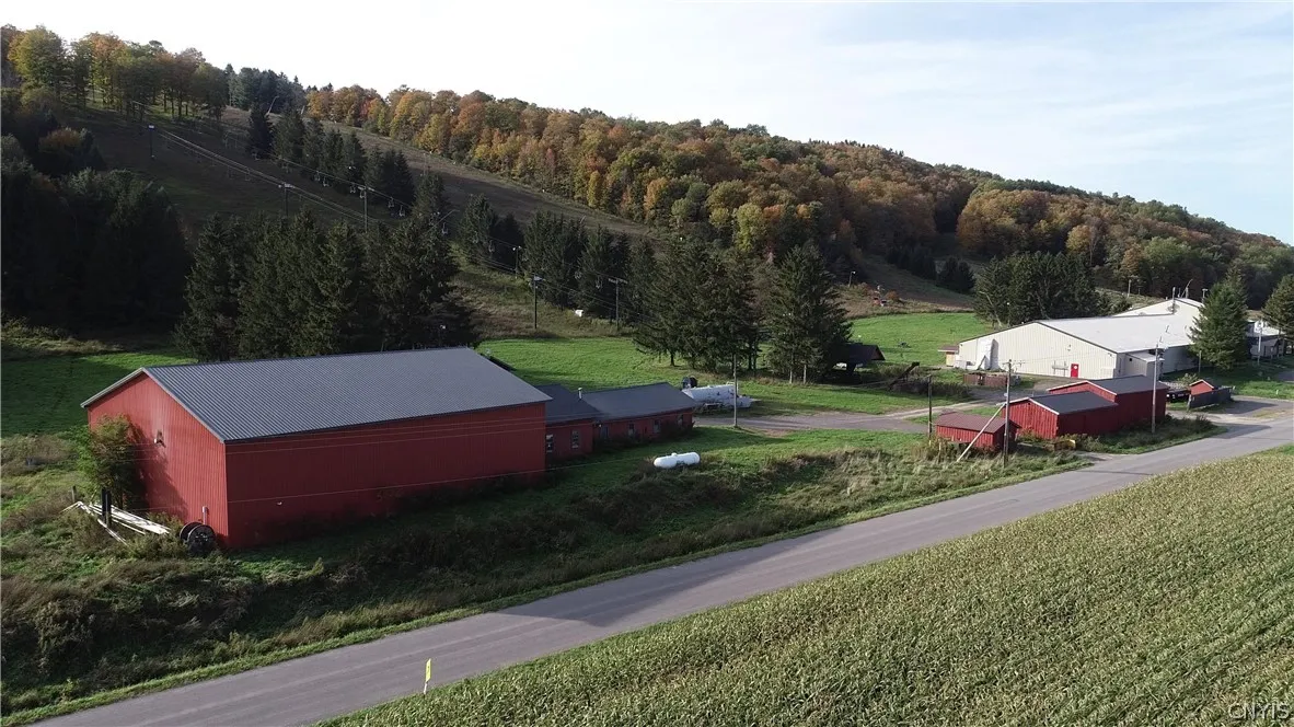 1135 Toggenburg Road, Fabius, New York 13063, Fabius, New York 13063, ,Commercial Sale,For Sale,1135 Toggenburg Road, Fabius, New York 13063,0,S1406590