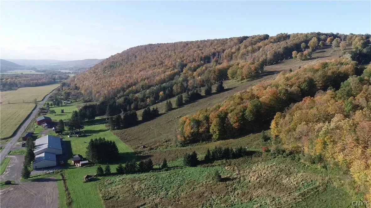 1135 Toggenburg Road, Fabius, New York 13063, Fabius, New York 13063, ,Commercial Sale,For Sale,1135 Toggenburg Road, Fabius, New York 13063,0,S1406590