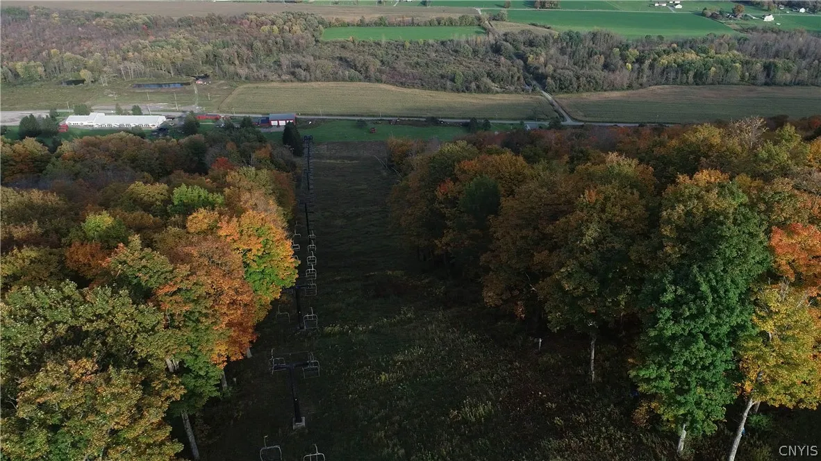 1135 Toggenburg Road, Fabius, New York 13063, Fabius, New York 13063, ,Land,For Sale,1135 Toggenburg Road, Fabius, New York 13063,0,S1406247