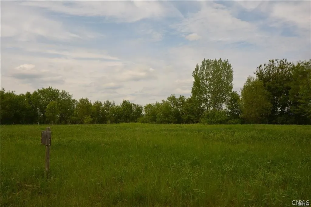 0 Nys Route 26, Champion, New York 13619, Champion, New York 13619, ,Land,For Sale,0 Nys Route 26, Champion, New York 13619,0,S1418899