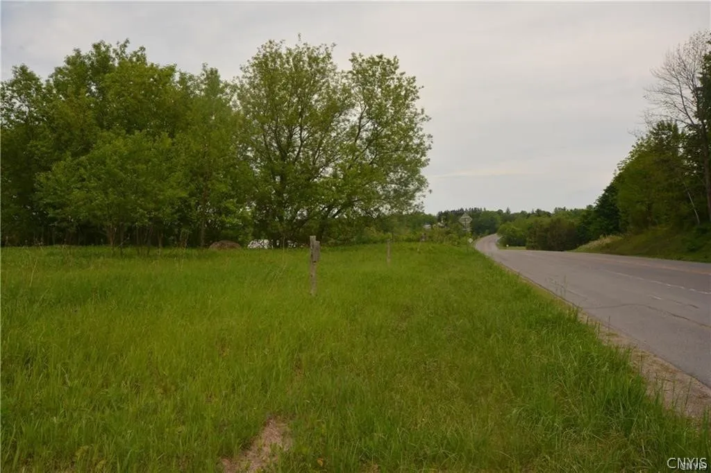 0 Nys Route 26, Champion, New York 13619, Champion, New York 13619, ,Land,For Sale,0 Nys Route 26, Champion, New York 13619,0,S1418899