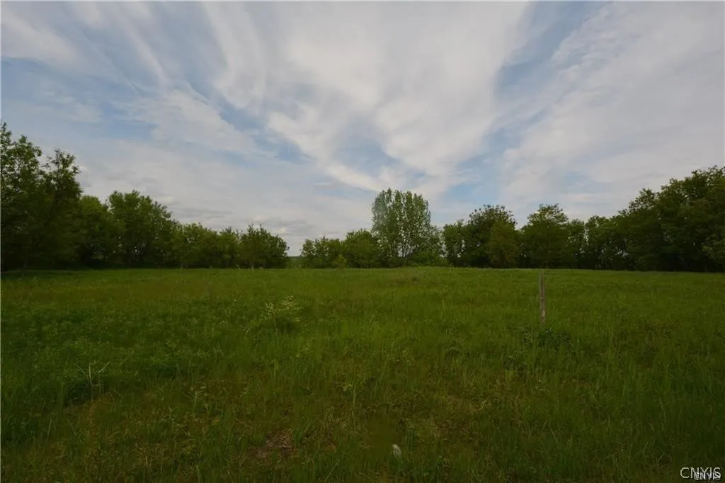 0 Nys Route 26, Champion, New York 13619, Champion, New York 13619, ,Land,For Sale,0 Nys Route 26, Champion, New York 13619,0,S1418899 0 Nys Route 26, Champion, New York 13619, Champion, New York 13619, ,Land,For Sale,0 Nys Route 26, Champion, New York 13619,0,S1418899