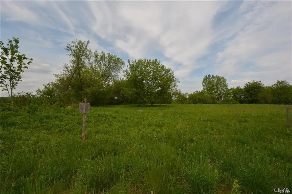 0 Nys Route 26, Champion, New York 13619, Champion, New York 13619, ,Land,For Sale,0 Nys Route 26, Champion, New York 13619,0,S1418899