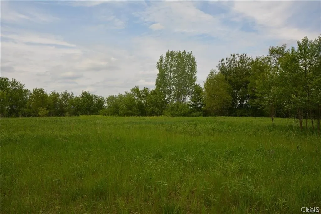 0 Nys Route 26, Champion, New York 13619, Champion, New York 13619, ,Land,For Sale,0 Nys Route 26, Champion, New York 13619,0,S1418899