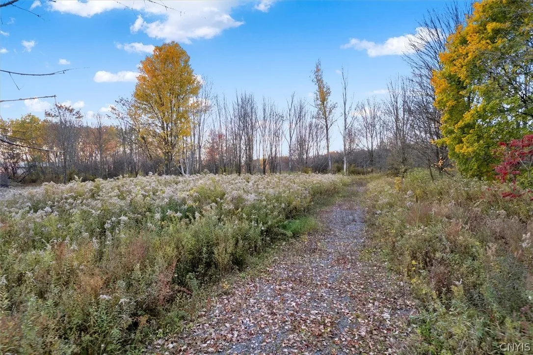 6101 East Cavanaugh Road West, Marcy, New York 134, Marcy, New York 13403, ,Land,For Sale,6101 East Cavanaugh Road West, Marcy, New York 134,0,S1440679