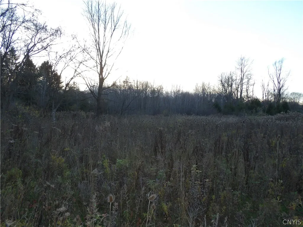 82-84 West Main Street, Dryden, New York 13053, Dryden, New York 13053, ,Commercial Sale,For Sale,82-84 West Main Street, Dryden, New York 13053,0,S1442754