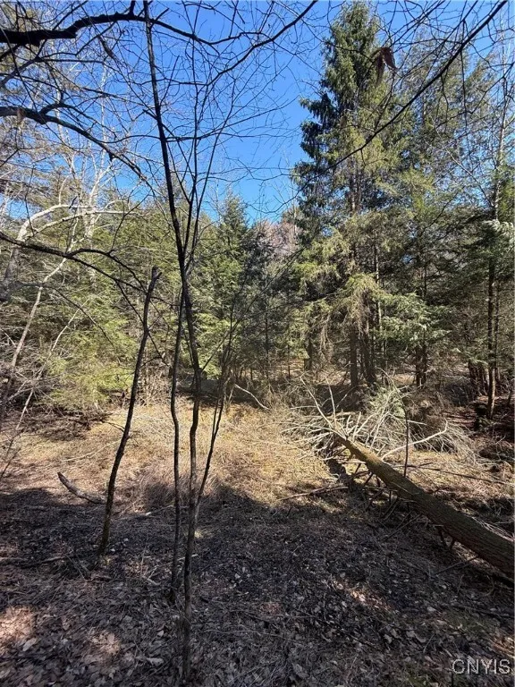 0 State Highway 12 N, Sherburne, New York 13460, Sherburne, New York 13460, ,Land,Closed,0 State Highway 12 N, Sherburne, New York 13460,0,S1442826