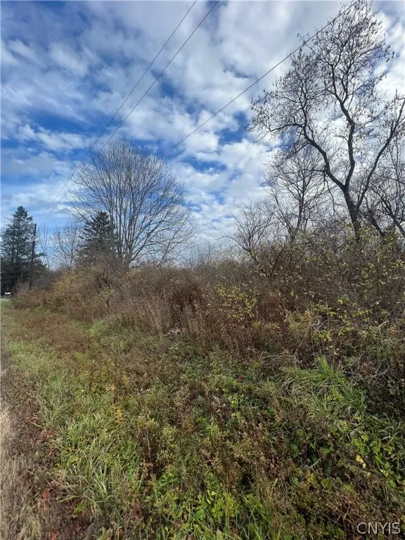 0 State Highway 12 N, Sherburne, New York 13460, Sherburne, New York 13460, ,Land,Closed,0 State Highway 12 N, Sherburne, New York 13460,0,S1442826