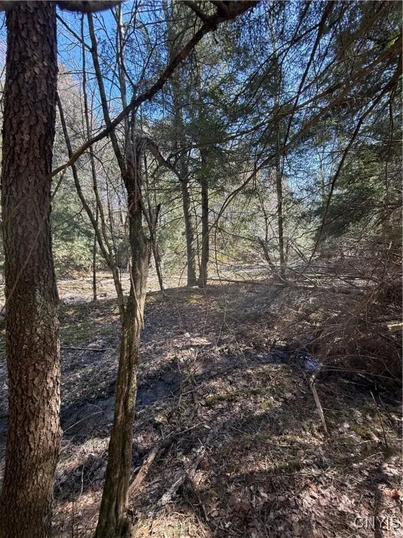 0 State Highway 12 N, Sherburne, New York 13460, Sherburne, New York 13460, ,Land,Closed,0 State Highway 12 N, Sherburne, New York 13460,0,S1442826