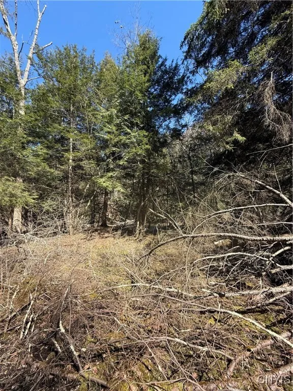 0 State Highway 12 N, Sherburne, New York 13460, Sherburne, New York 13460, ,Land,Closed,0 State Highway 12 N, Sherburne, New York 13460,0,S1442826